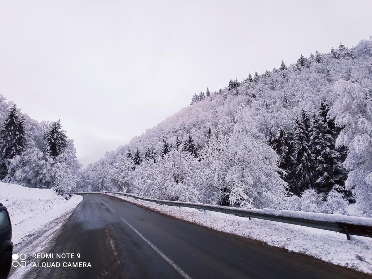 Вілла Cabana Piatra Plaiului Budureasa Екстер'єр фото